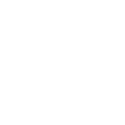 ce logo Lakeville