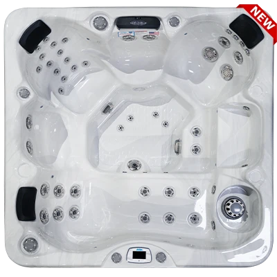 Costa-X EC-749LX hot tubs for sale in Lakeville