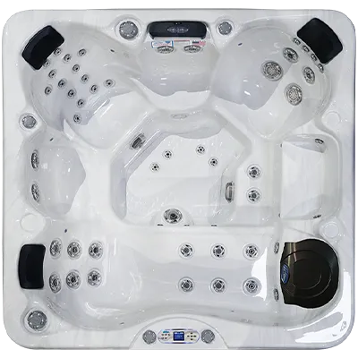 Avalon EC-849L hot tubs for sale in Lakeville