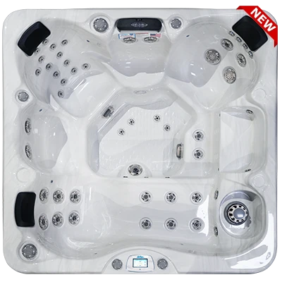 Avalon-X EC-849LX hot tubs for sale in Lakeville
