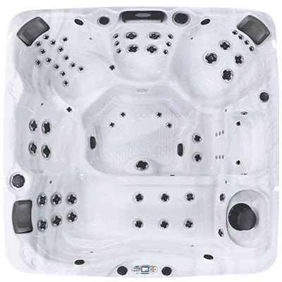Avalon EC-867L hot tubs for sale in Lakeville