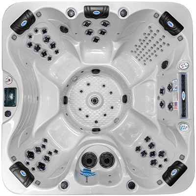 Laguna PL-793B hot tubs for sale in Lakeville