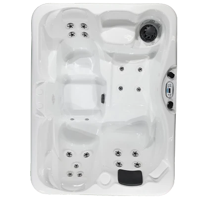 Kona PZ-519L hot tubs for sale in Lakeville