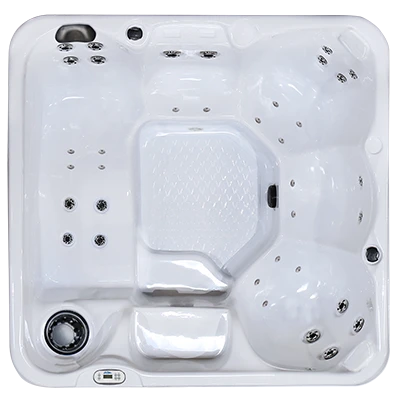 Hawaiian PZ-636L hot tubs for sale in Lakeville